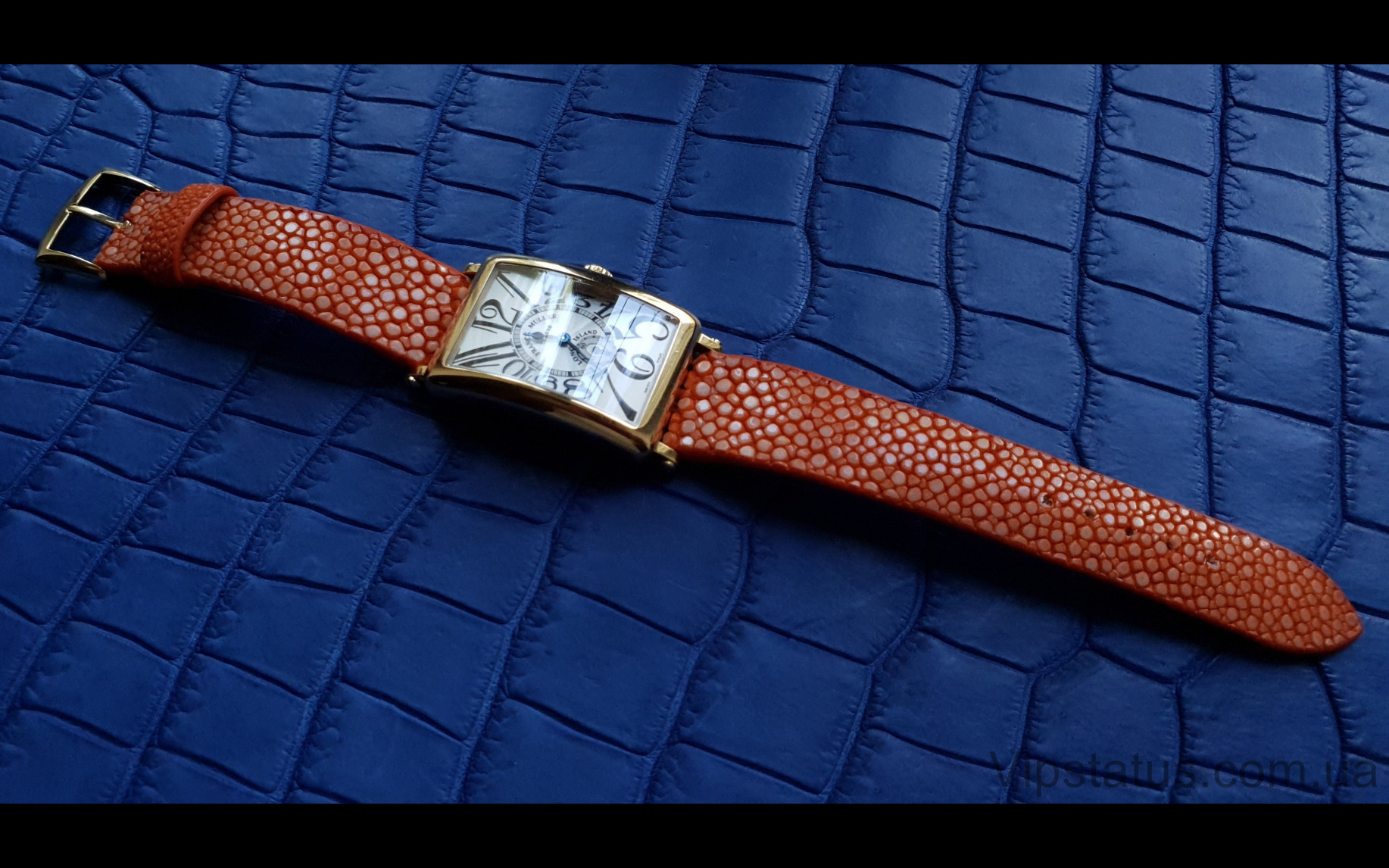 Элитный Роскошный ремешок для часов Franck Muller кожа ската Роскошный ремешок для часов Franck Muller кожа ската изображение 1