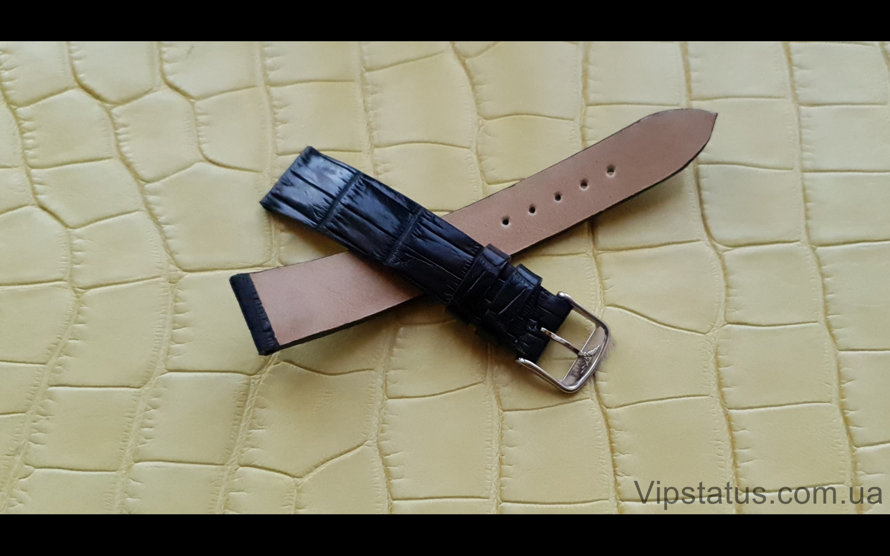Elite Эксклюзивный ремешок для часов Longines кожа крокодила Exclusive Crocodile Strap for Longines watches image 3