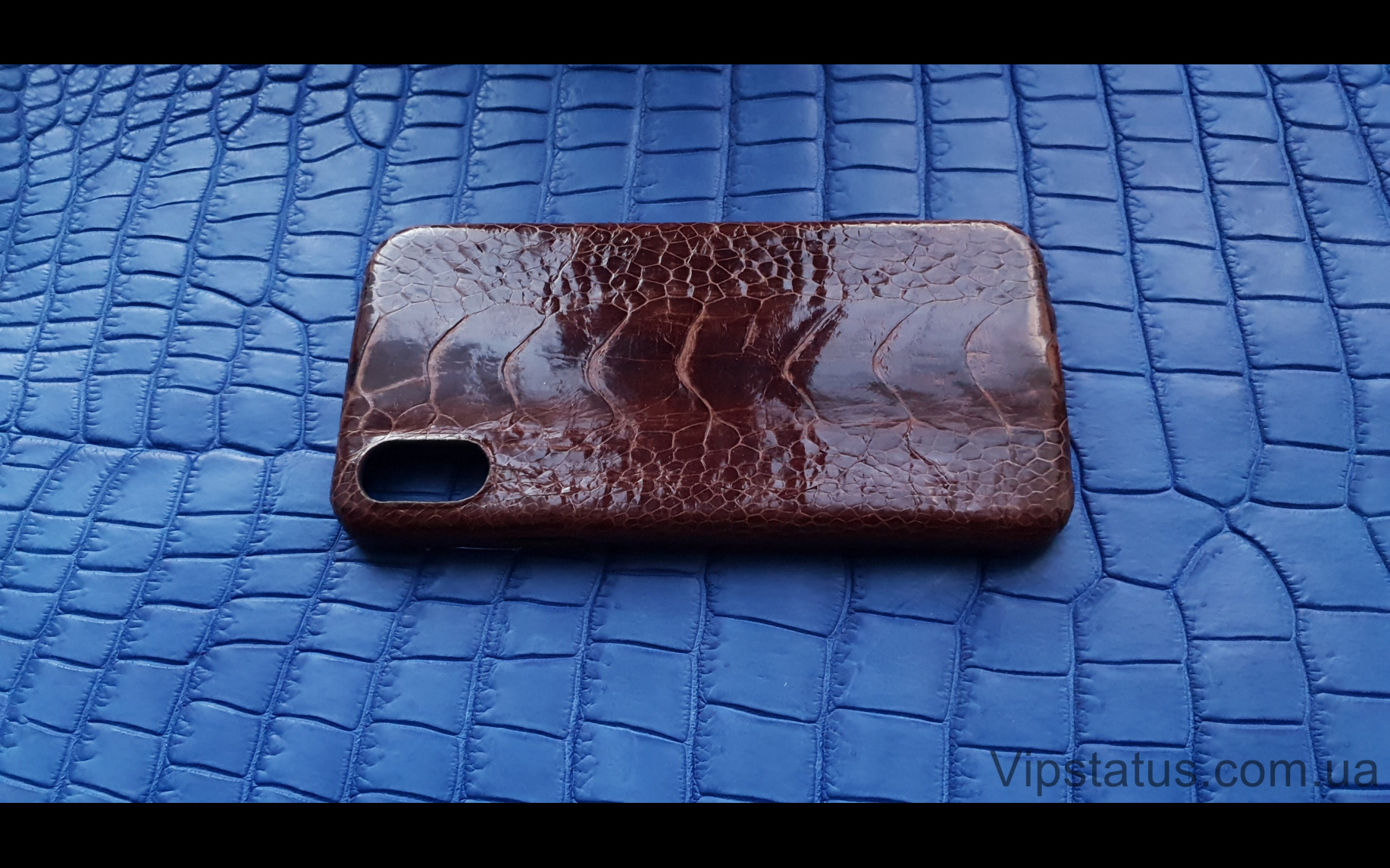 Elite Brown Gloss Лакшери чехол IPhone X XS кожа страуса Brown Gloss Luxury case IPhone X XS Ostrich Leather image 3