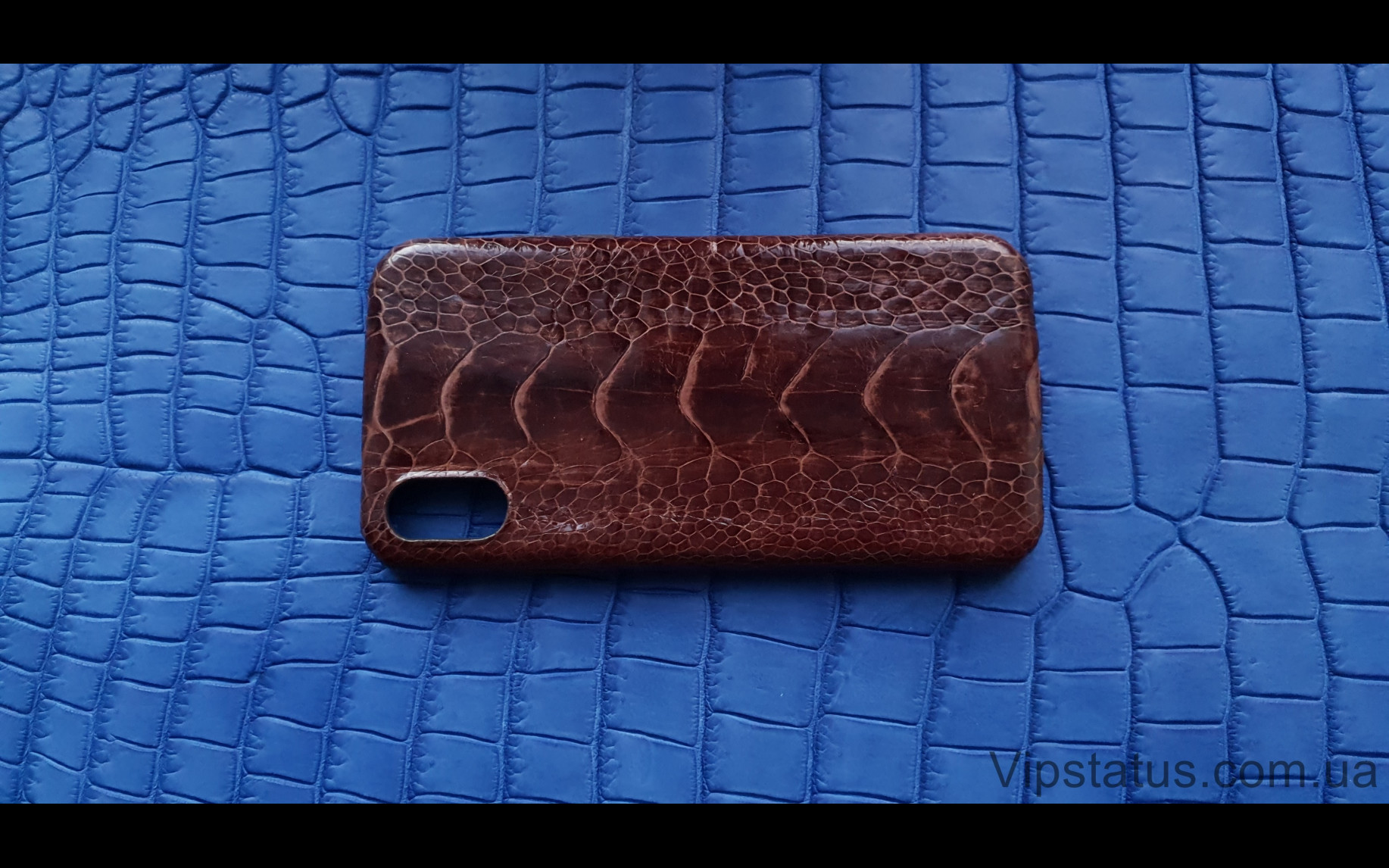 Elite Brown Gloss Лакшери чехол IPhone X XS кожа страуса Brown Gloss Luxury case IPhone X XS Ostrich Leather image 4