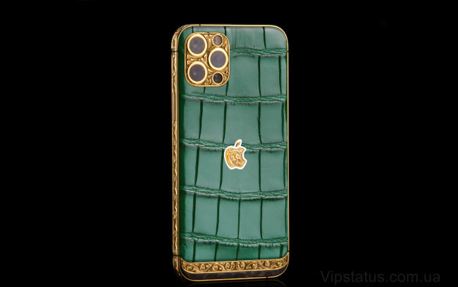 Elite Green Power Gold IPHONE 12 PRO MAX 512 GB Green Power Gold IPHONE 12 PRO MAX 512 GB зображення 1